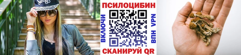 Псилоцибиновые грибы Cubensis  Тюмень 